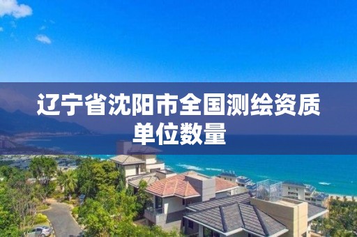 辽宁省沈阳市全国测绘资质单位数量