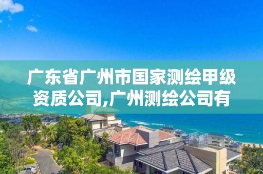 广东省广州市国家测绘甲级资质公司,广州测绘公司有哪些