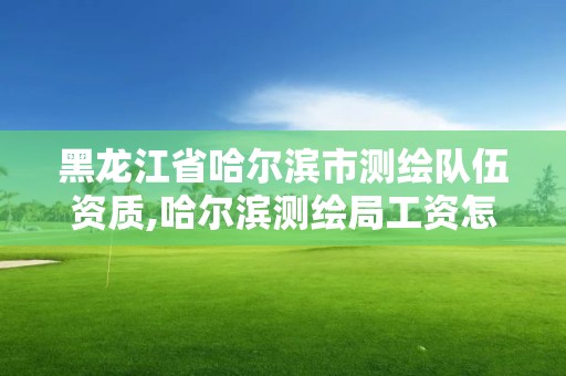 黑龙江省哈尔滨市测绘队伍资质,哈尔滨测绘局工资怎么样