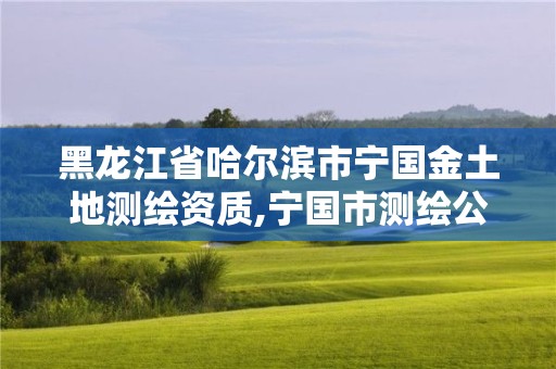 黑龙江省哈尔滨市宁国金土地测绘资质,宁国市测绘公司有哪些