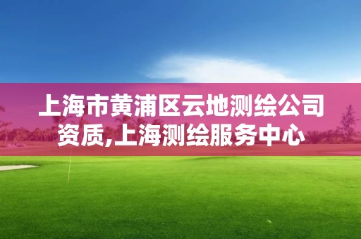 上海市黄浦区云地测绘公司资质,上海测绘服务中心