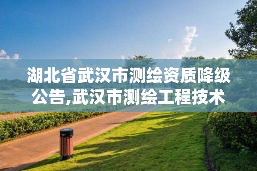 湖北省武汉市测绘资质降级公告,武汉市测绘工程技术规定