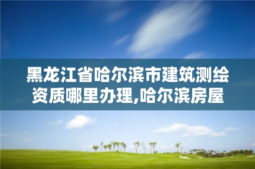 黑龙江省哈尔滨市建筑测绘资质哪里办理,哈尔滨房屋测绘