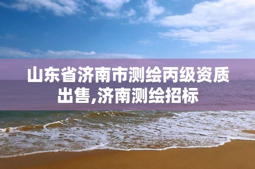 山东省济南市测绘丙级资质出售,济南测绘招标