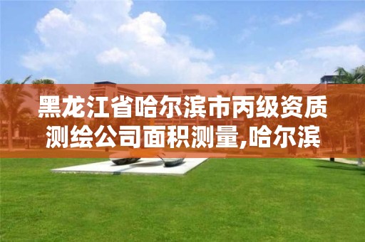 黑龙江省哈尔滨市丙级资质测绘公司面积测量,哈尔滨测绘局是干什么的