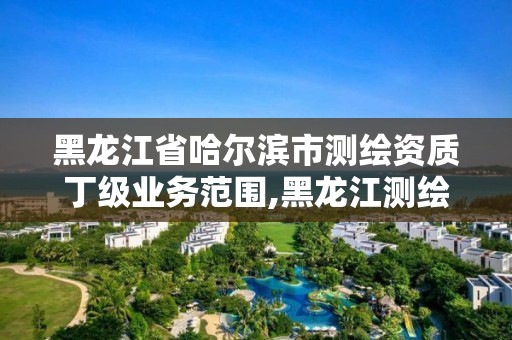 黑龙江省哈尔滨市测绘资质丁级业务范围,黑龙江测绘公司乙级资质