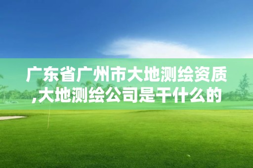 广东省广州市大地测绘资质,大地测绘公司是干什么的