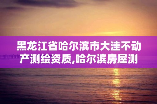 黑龙江省哈尔滨市大洼不动产测绘资质,哈尔滨房屋测绘