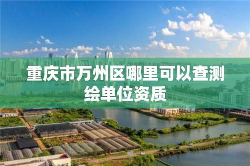 重庆市万州区哪里可以查测绘单位资质