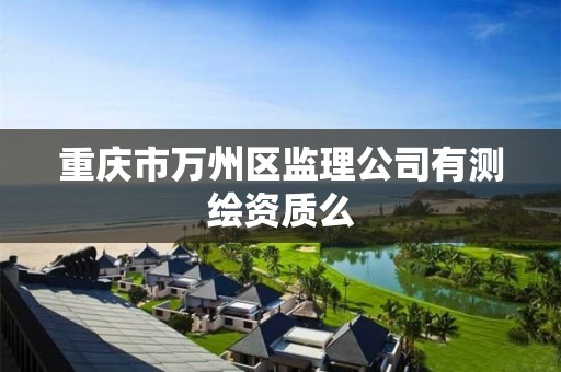 重庆市万州区监理公司有测绘资质么