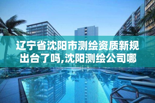 辽宁省沈阳市测绘资质新规出台了吗,沈阳测绘公司哪家强哪家好