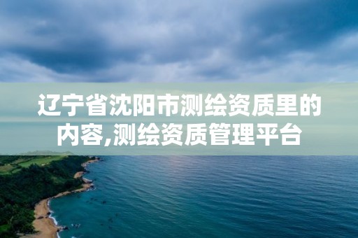 辽宁省沈阳市测绘资质里的内容,测绘资质管理平台