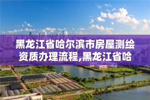 黑龙江省哈尔滨市房屋测绘资质办理流程,黑龙江省哈尔滨市测绘局