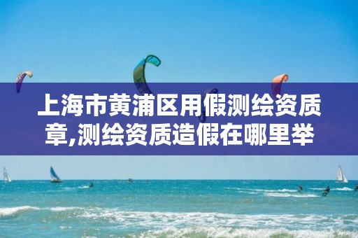 上海市黄浦区用假测绘资质章,测绘资质造假在哪里举报