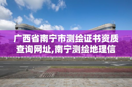 广西省南宁市测绘证书资质查询网址,南宁测绘地理信息局