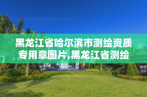 黑龙江省哈尔滨市测绘资质专用章图片,黑龙江省测绘资质延期通知