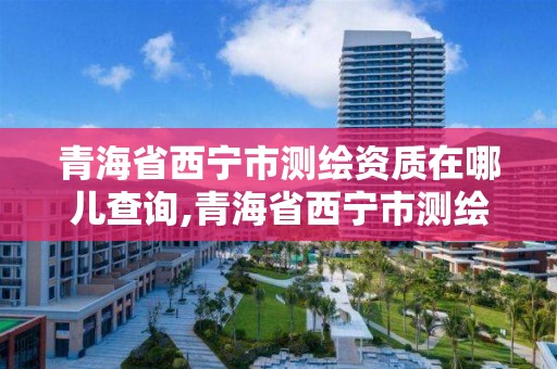 青海省西宁市测绘资质在哪儿查询,青海省西宁市测绘资质在哪儿查询啊