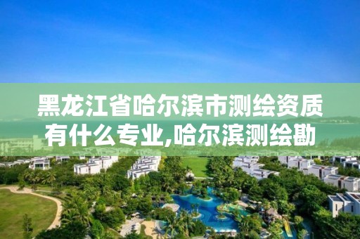 黑龙江省哈尔滨市测绘资质有什么专业,哈尔滨测绘勘察研究院怎么样