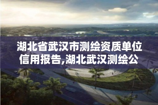 湖北省武汉市测绘资质单位信用报告,湖北武汉测绘公司排行榜。