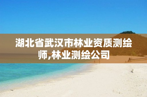 湖北省武汉市测绘师,林业测绘公司