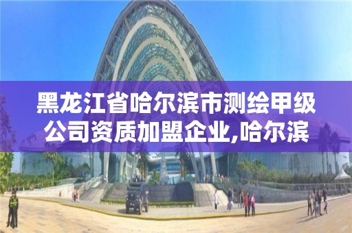 黑龙江省哈尔滨市测绘甲级公司资质加盟企业,哈尔滨测绘公司招聘