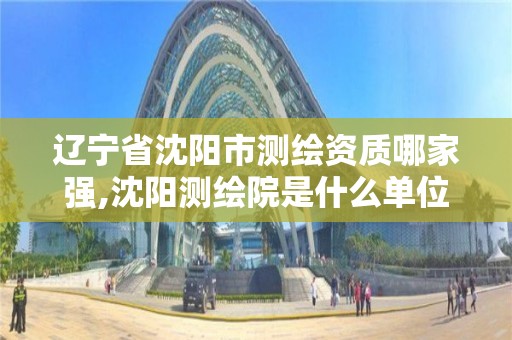 辽宁省沈阳市测绘资质哪家强,沈阳测绘院是什么单位