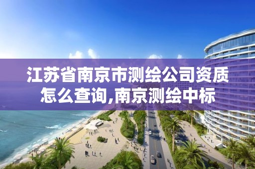 江苏省南京市测绘公司资质怎么查询,南京测绘中标