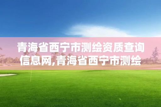 青海省西宁市测绘资质查询信息网,青海省西宁市测绘资质查询信息网官网