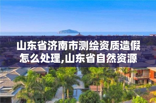 山东省济南市测绘资质造假怎么处理,山东省自然资源厅关于延长测绘资质证书有效期的公告