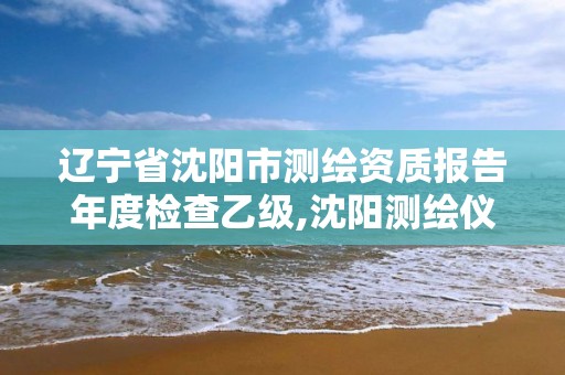 辽宁省沈阳市测绘资质报告年度检查乙级,沈阳测绘仪器检测单位