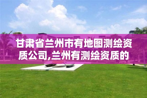 甘肃省兰州市有地图测绘资质公司,兰州有测绘资质的公司有