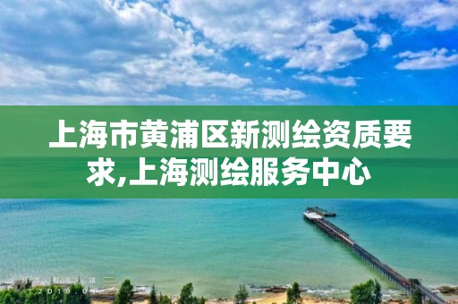 上海市黄浦区新测绘资质要求,上海测绘服务中心