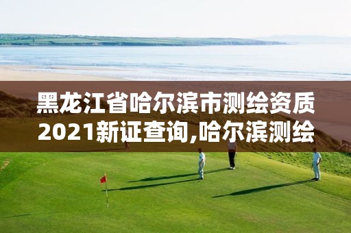 黑龙江省哈尔滨市测绘资质2021新证查询,哈尔滨测绘有限公司 黑龙江省哈尔滨市测绘资质2021新证查询,哈尔滨测绘有限公司