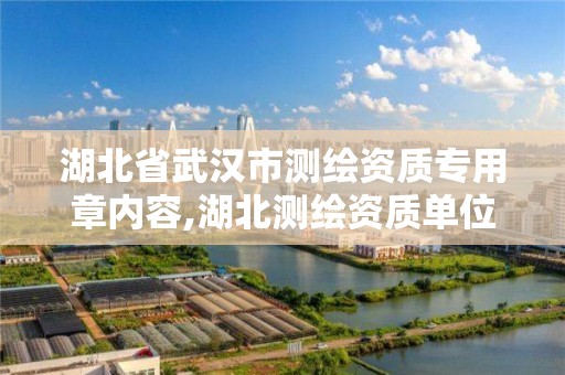 湖北省武汉市测绘资质专用章内容,湖北测绘资质单位。