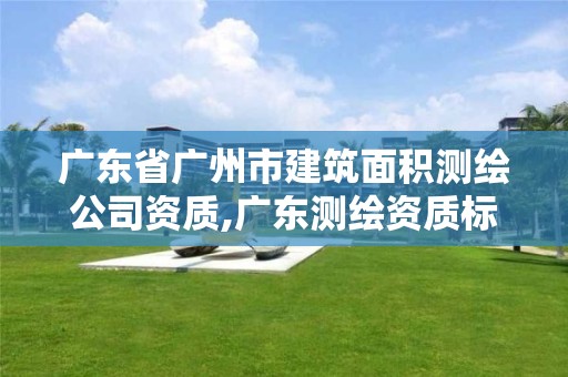 广东省广州市建筑面积测绘公司资质,广东测绘资质标准