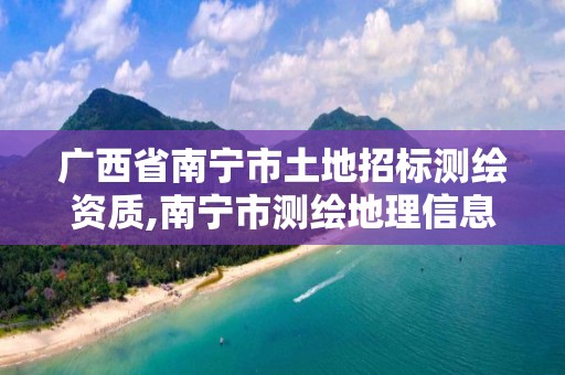 广西省南宁市土地招标测绘资质,南宁市测绘地理信息局