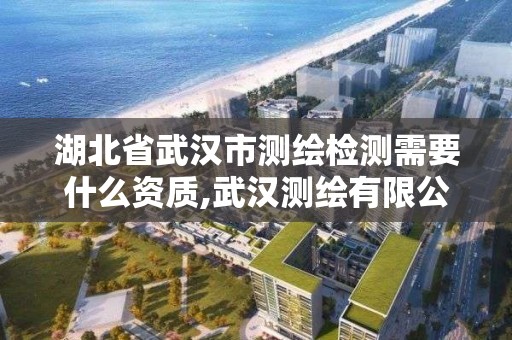 湖北省武汉市测绘检测需要什么资质,武汉测绘有限公司