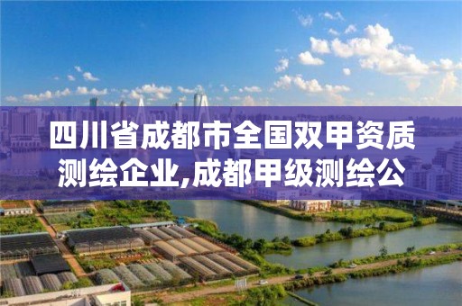 四川省成都市全国双甲资质测绘企业,成都甲级测绘公司。