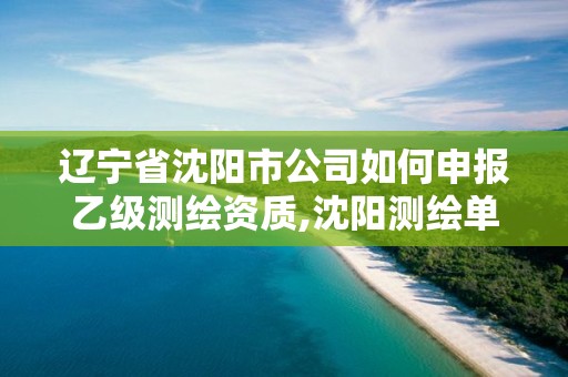 辽宁省沈阳市公司如何申报乙级测绘资质,沈阳测绘单位。