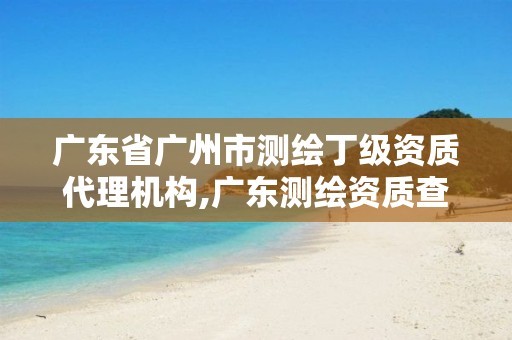 广东省广州市测绘丁级资质代理机构,广东测绘资质查询