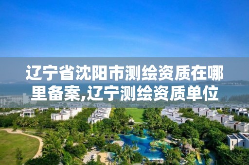 辽宁省沈阳市测绘资质在哪里备案,辽宁测绘资质单位