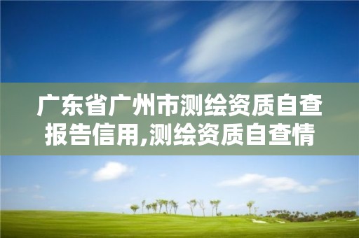 广东省广州市测绘资质自查报告信用,测绘资质自查情况表如何填写。