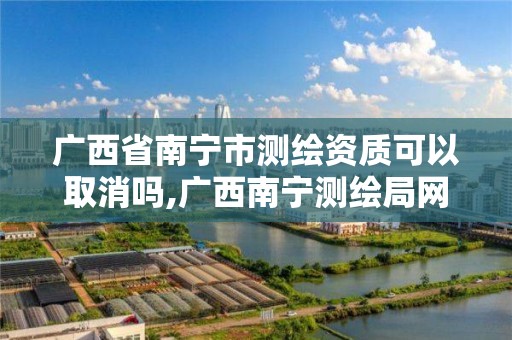 广西省南宁市测绘资质可以取消吗,广西南宁测绘局网址