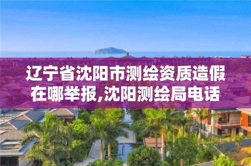 辽宁省沈阳市测绘资质造假在哪举报,沈阳测绘局电话