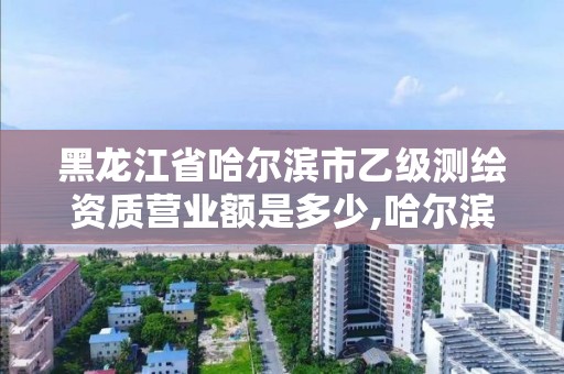 黑龙江省哈尔滨市乙级测绘资质营业额是多少,哈尔滨测绘局属于什么单位