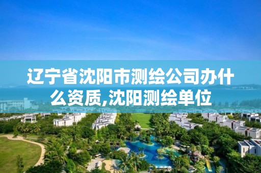 辽宁省沈阳市测绘公司办什么资质,沈阳测绘单位