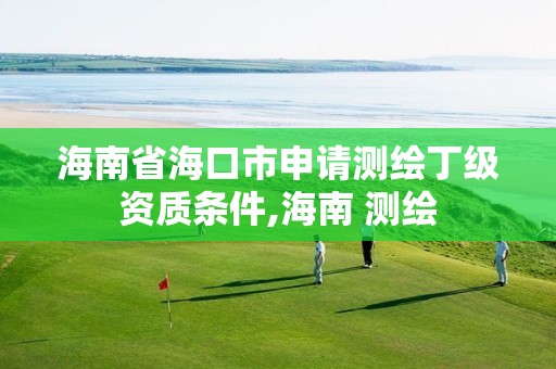 海南省海口市申请测绘丁级资质条件,海南 测绘