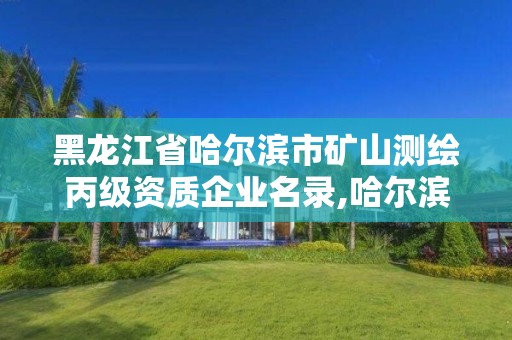 黑龙江省哈尔滨市矿山测绘丙级资质企业名录,哈尔滨甲级测绘公司