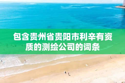 包含贵州省贵阳市利辛有资质的测绘公司的词条