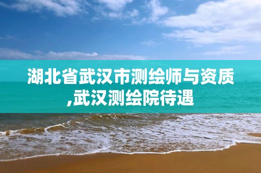 湖北省武汉市测绘师与资质,武汉测绘院待遇